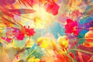 Maladaptive Daydreaming: How Do You Deal with Fear of Real Life as A Maladaptive Daydreamer? unraveling the impact: identity erosion after narcissistic abuse Maladaptive Daydreaming: How Do You Deal with Fear of Real Life as A Maladaptive Daydreamer? unraveling the impact: identity erosion after narcissistic abuse