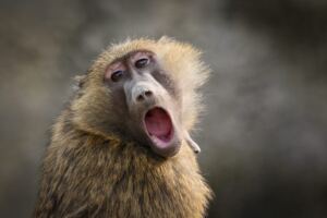 Why Toxic People Get Defensive When Called Out on Their Behavior Towards Others? why a narcissist may desperately want you out of their life?