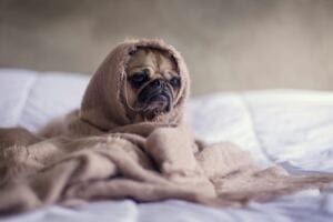 The Illusion of Many Traumas: Understanding Healing in the Present Moment relationship problems: when your partner goes for therapy just to prove a point