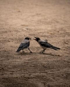 Why You Should Stop Defending Yourself to A Narcissist logical explanation — how long does it take to heal from abuse Why You Should Stop Defending Yourself to A Narcissist logical explanation — how long does it take to heal from abuse