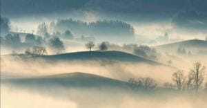 The Mental Haze: Understanding Brain Fog After Narcissistic Abuse how a narcissist insidiously tests your boundaries