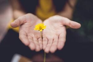Why Does It Hurt Being Caring and Loving? why do people disregard advice from loved ones in abusive relationships? Why Does It Hurt Being Caring and Loving? why do people disregard advice from loved ones in abusive relationships?