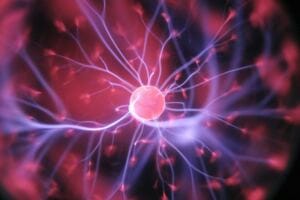 Where Do Narcissist Get The Energy To Hurt where do narcissist get the energy to hurt Where Do Narcissist Get The Energy To Hurt where do narcissist get the energy to hurt