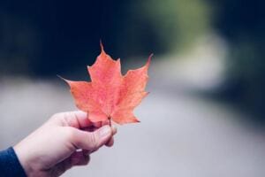 PEOPLE PLEASING: Why People Pleasers Attracts Narcissists people pleasing: why people pleasers attracts narcissists PEOPLE PLEASING: Why People Pleasers Attracts Narcissists people pleasing: why people pleasers attracts narcissists