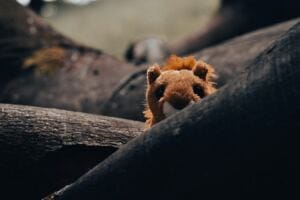 When You’re ‘Harassing’ The Abuser breaking free from labels: navigating relationships without attachment styles When You’re ‘Harassing’ The Abuser breaking free from labels: navigating relationships without attachment styles