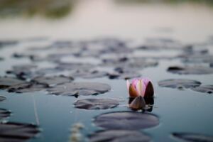 How to Live Peacefully with A Toxic Partner narcissistic relationships: — why narcissists don’t give closure