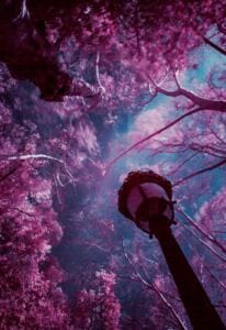 Maladaptive Daydreaming: Finding Purpose In Studying Maladaptive Daydreaming? rethinking boundaries: debunking the myth that setting boundaries equals hurting others (myth 3 Maladaptive Daydreaming: Finding Purpose In Studying Maladaptive Daydreaming? rethinking boundaries: debunking the myth that setting boundaries equals hurting others (myth 3