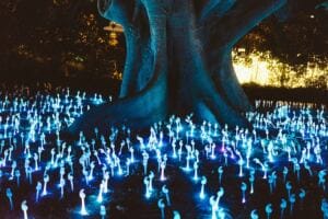 Maladaptive Daydreaming: Is Stress A Huge Trigger of Your Excessive Daydreaming? boundary awareness — identifying your needs Maladaptive Daydreaming: Is Stress A Huge Trigger of Your Excessive Daydreaming? boundary awareness — identifying your needs