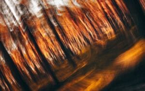 Grey Rocking Method — Why it Doesn’t Always Work When Dealing with a Narcissist how to stop beating yourself up after abuse