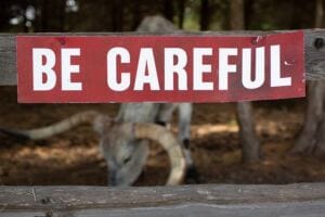 Toxic Relationships: Will Being Overly Cautious Keep You Away from Attracting Toxic Relationships? when your partner constantly lies even when you have evidence?