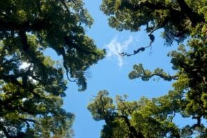Maladaptive Daydreaming: Are You Really Stopping Your Daydreaming? maladaptive daydreaming: are you really stopping your daydreaming?