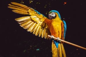 Trauma Dumping: Are you Hurting Others by Oversharing? how do you manage negative emotions after a long daydream Trauma Dumping: Are you Hurting Others by Oversharing? how do you manage negative emotions after a long daydream