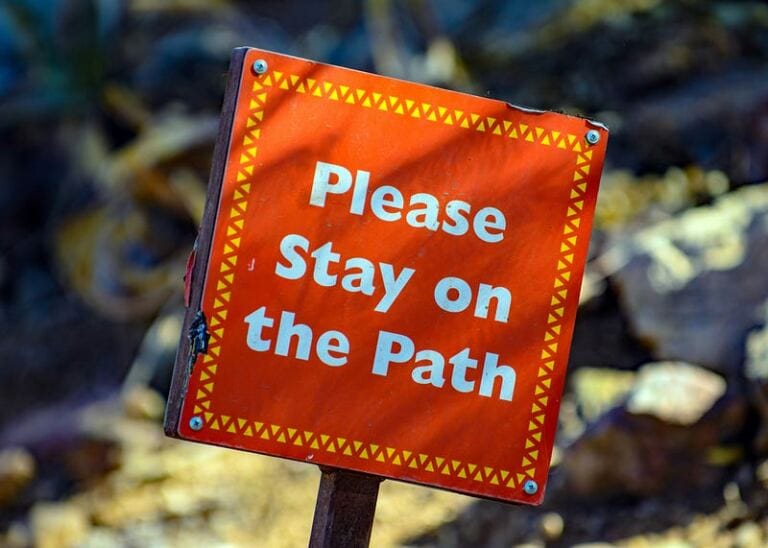 What Does It Mean to Be Committed in Your Healing Journey? how do you know when a narcissist is collapsing and what do you do about it? What Does It Mean to Be Committed in Your Healing Journey? how do you know when a narcissist is collapsing and what do you do about it?