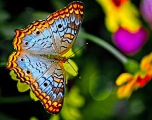 Healing — Are you Transforming or Are you Just Scratching the Surface? how a narcissist insidiously tests your boundaries