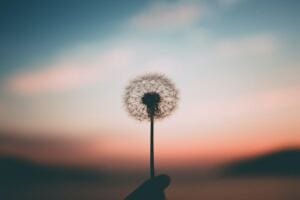 Healing from Abusive Relationship: It Doesn’t Have To Take Forever how does self-esteem lead to attracting toxic relationships? Healing from Abusive Relationship: It Doesn’t Have To Take Forever how does self-esteem lead to attracting toxic relationships?