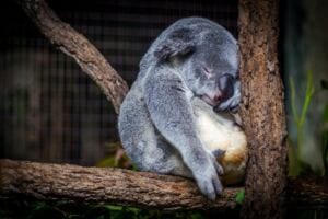 Why You Feel So Tired and Exhausted after Narcissistic Abuse 6 things not to compromise on in a relationship