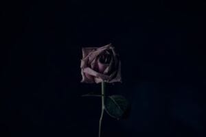 Are All Women with Knuckle Rings and Tattoos ‘Toxic’? how do you move beyond a relationship with someone who is controlling you?
