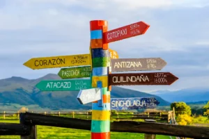 Healing is Getting Your Choice Back Family reputation Healing is Getting Your Choice Back Family reputation