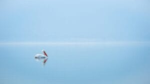 Healing: It’s in the Feeling, Not the Blaming Second-guess yourself Healing: It’s in the Feeling, Not the Blaming Second-guess yourself