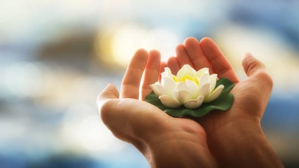 Healing Isn’t Forgetting: Here’s What Really Works relationships