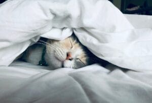 Sleep Deprivation: The Emotional Torture Hidden in Abusive Relationships commitment Sleep Deprivation: The Emotional Torture Hidden in Abusive Relationships commitment